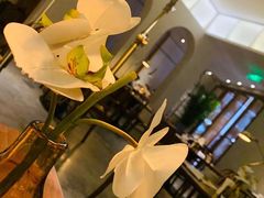 -来龙里 精致 东南亚餐室(万象城店)
