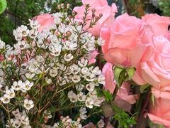 -花屿鲜花(淡水店)