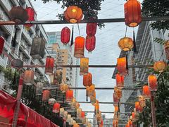 -越秀西湖花市(广州城市广场花卉店)