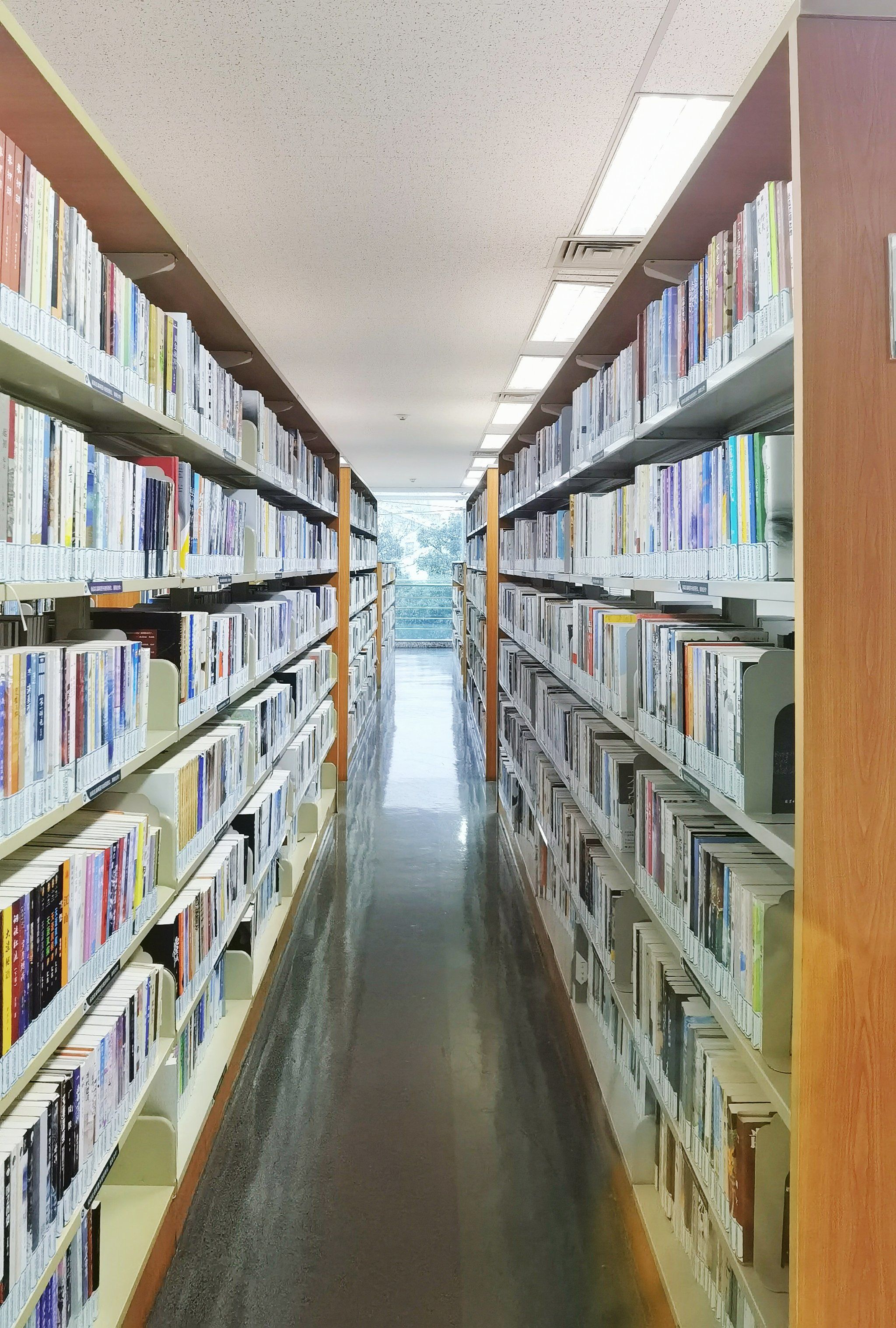 书海漂流不思归,苏州图书馆/阅读天堂