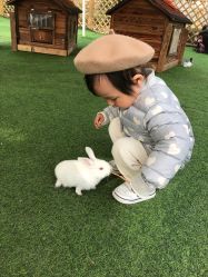 -萌宠亲子动物乐园(槐房万达店)