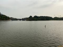 -华侨城湿地公园