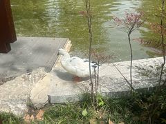-西安市长乐公园