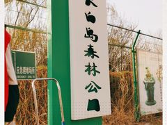 -长白岛森林公园