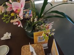-施奈儿.洗头頭療.按摩SPA.采耳(上梅林店)