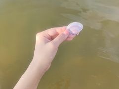 -金海滩海水浴场