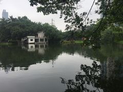 -晓港公园
