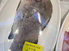 -妈妈菜舟山海鲜(定海古城店)