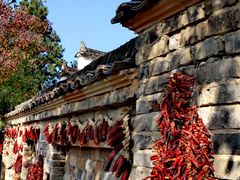 -塔川景区