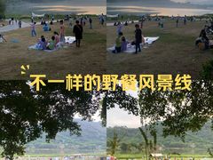 -风云岭森林公园