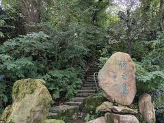-江心屿景区