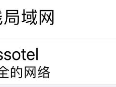 -新加坡瑞士史丹福酒店