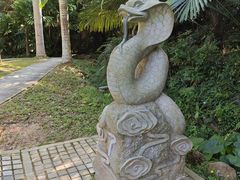 -深圳仙湖植物园