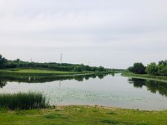 -蒲河岛湿地公园