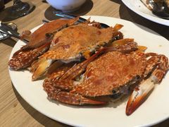 -Isla Sugbu Seafood City