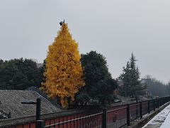 -西安市广仁寺