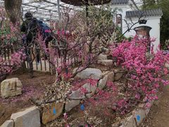 -燕郊植物园