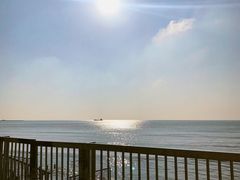 -上海棕榈滩海景酒店