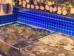 水产区-乔哥铭洋海鲜自助(皇城恒隆广场店)