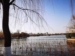 -济南大明湖景区