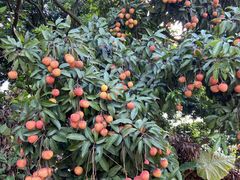 -水濂山森林公园