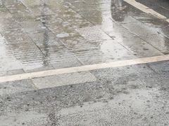 -象山小白象海鲜面