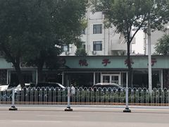 -桃子餐厅·天津菜(红星路直营店)