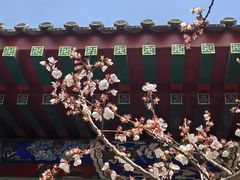 -北京颐和宾馆