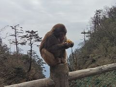 -峨眉山风景名胜区