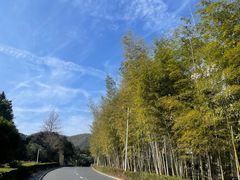 -明月山天沐温泉度假村