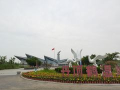 -盐城丹顶鹤湿地生态旅游区