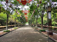 -洛阳市隋唐城遗址植物园