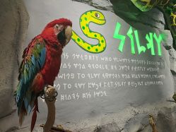 -Zoolung Zoolung动物主题公园(海信广场店)