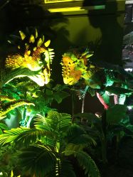 -恐龙探索乐园(磁器口店)