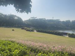 -东莞植物园