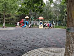 -大兴滨河森林公园