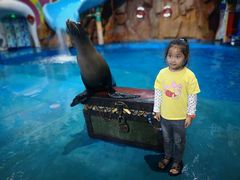 -烟台海昌鲸鲨海洋公园