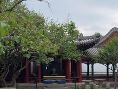 -宫事颐庭·老佛爷贵寿下午茶(颐和园店)