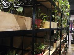 -小草大排档(北沙坡店)