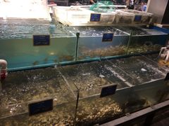 水产区-喷泉广场餐厅·宵夜·海鲜烧烤大排档(长隆企鹅酒店)