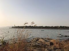 -上海市保健医疗中心