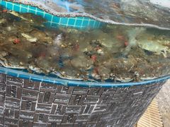 -蓝珊甄选海鲜自助·火锅大排档(近阿那亚店)