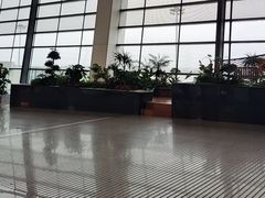 -郑州新郑国际机场-T2航站楼