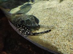 -长沙海底世界
