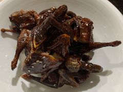 -龙小海荆沙鸽子店(瑞安街店)