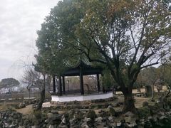 -无锡蠡湖国家湿地公园-蠡园