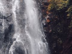 -马峦山郊野公园