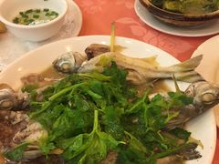 -深运潮州粥(东门店)