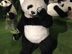 -成都泰迪熊博物馆