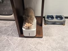 -博特宠物医院24h犬猫全科.骨科·异宠